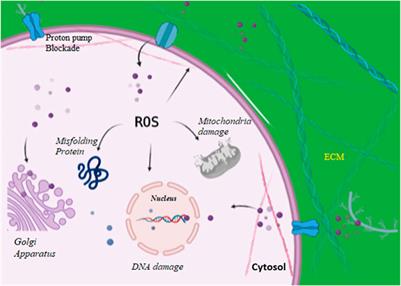 Fabrication of Silver Nanoparticles Against Fungal Pathogens